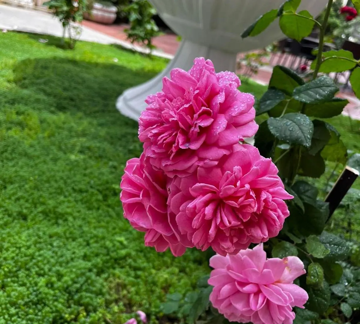 Rose Garden Omax Apartments Sunny Beach Hotel de apartamente